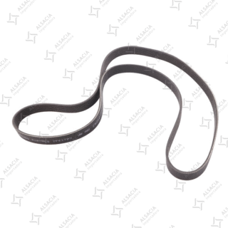 CORREA 6PK1555
