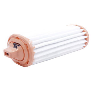 FILTRO AIRE C-10012