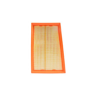 FILTRO AIRE C-2433-2