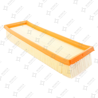 FILTRO AIRE C-3173