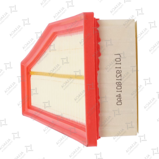FILTRO AIRE FOTON TM3