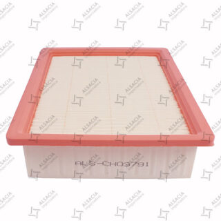 FILTRO AIRE GAC GONOW